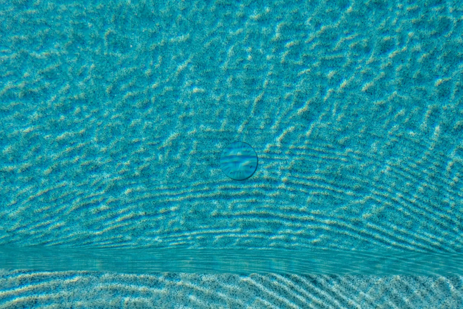 Shutterstock 1467388919